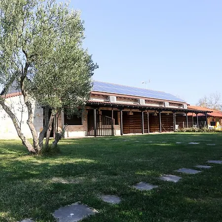 Apartment Gioulis & Nea Plagia